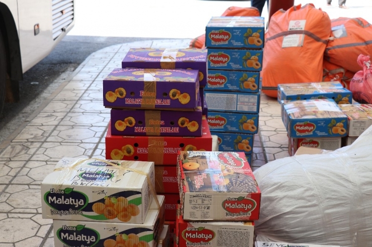 Maşti’de Kayısı Yoğunluğu