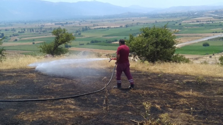 "Elektrik Hattı Koptu, Mera Yandı" İddiası