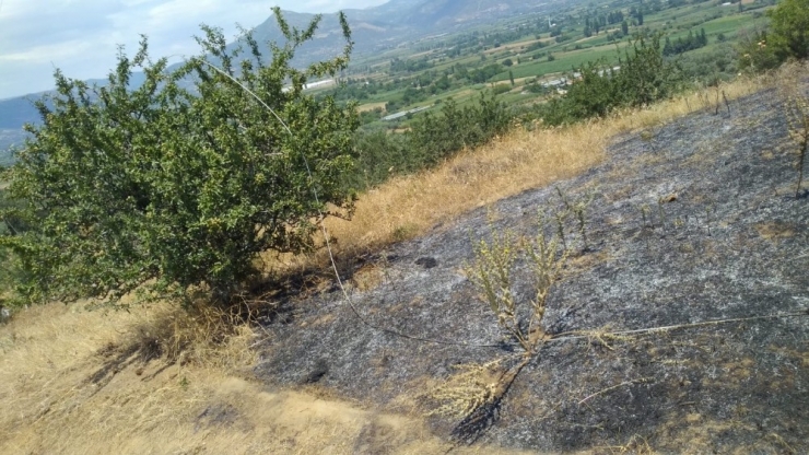 "Elektrik Hattı Koptu, Mera Yandı" İddiası