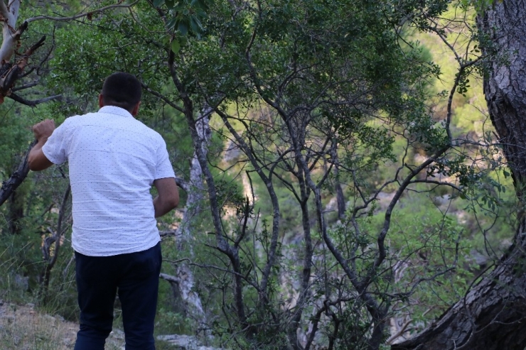 Uçurumda Erkek Cesedi Bulundu