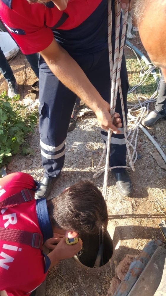 İtfaiyeciler Yavru Köpek İçin Seferber Oldu