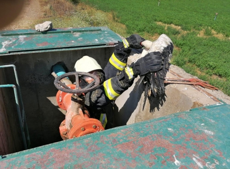 Sulama Kanalı Hidrantında Mahsur Kalan Leyleği İtfaiye Kurtardı