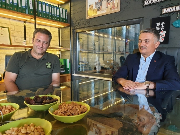 Vali Yazıcı Zeytinyağı Fabrikasında İncelemelerde Bulundu