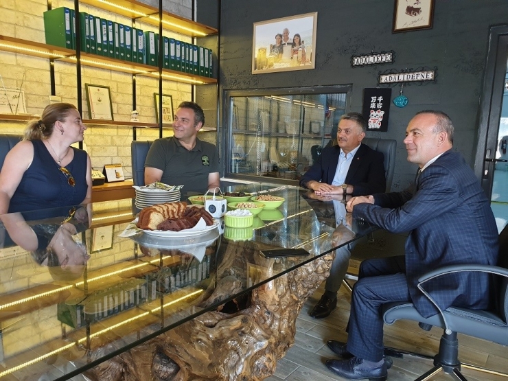 Vali Yazıcı Zeytinyağı Fabrikasında İncelemelerde Bulundu