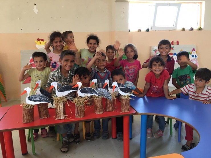 Miçoların Yaz Eğitimleri Başladı