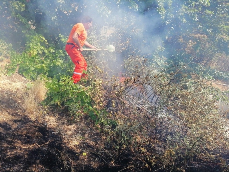 Bahçe Yangını, Ev İle Ormanlık Alana Sıçramadan Söndürüldü