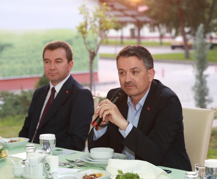 Çam Fıstığının Rekolte Düşüklüğü Bakan Pakdemirli’nin Masasında