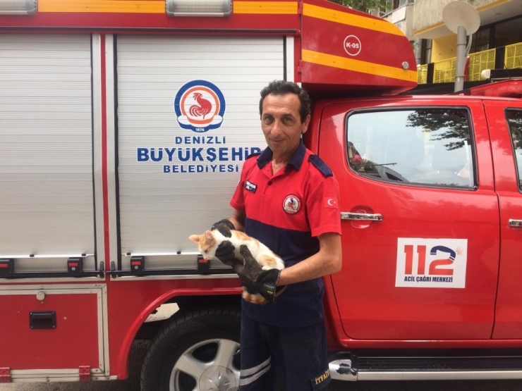 Ağaçta Mahsur Kalan Kediyi İtfaiye Eri Tırmanarak Kurtardı