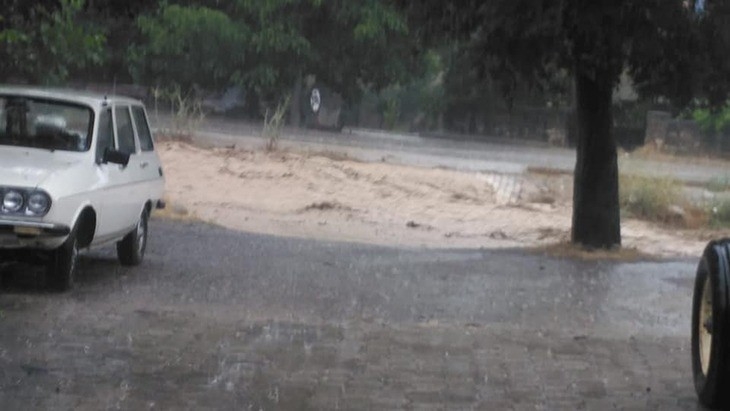 Denizli’nin Acıpayam İlçesinde Yola Devrilen Ağaç Trafiği 20 Dakika Durdurdu