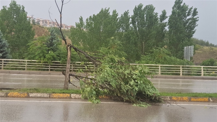 Aniden Bastıran Yağmur Yolları Dere Yatağına Çevirdi