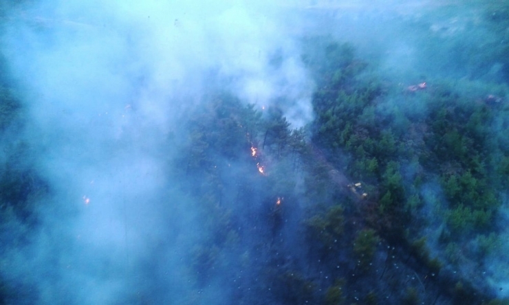 Muğla’da Ve Aydın’da ’Yıldırım’ Yangınları