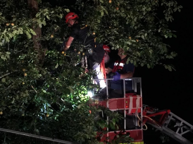 Armut Toplarken Yüksek Gerilime Kapılarak Hayatını Kaybetti