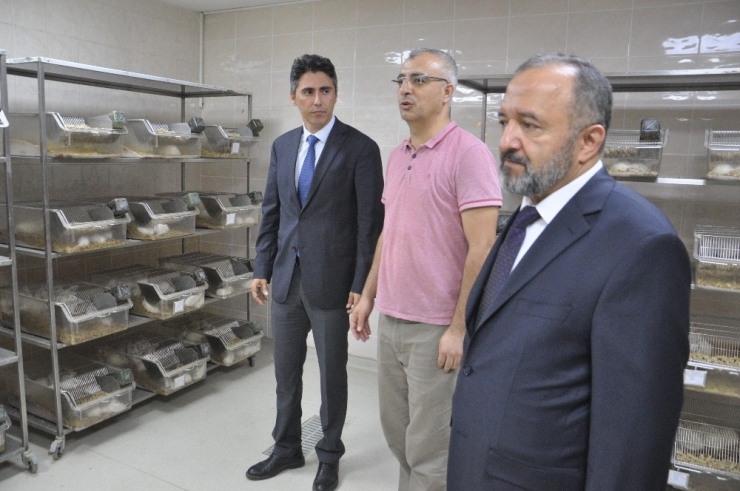 Zonguldak Beü İbn-i Sina Kampüsü Yeni Öğrencilerini Bekliyor