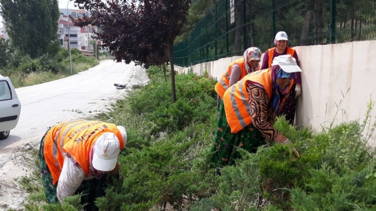 Bilecik Belediyesi’nden Ot Temizliği