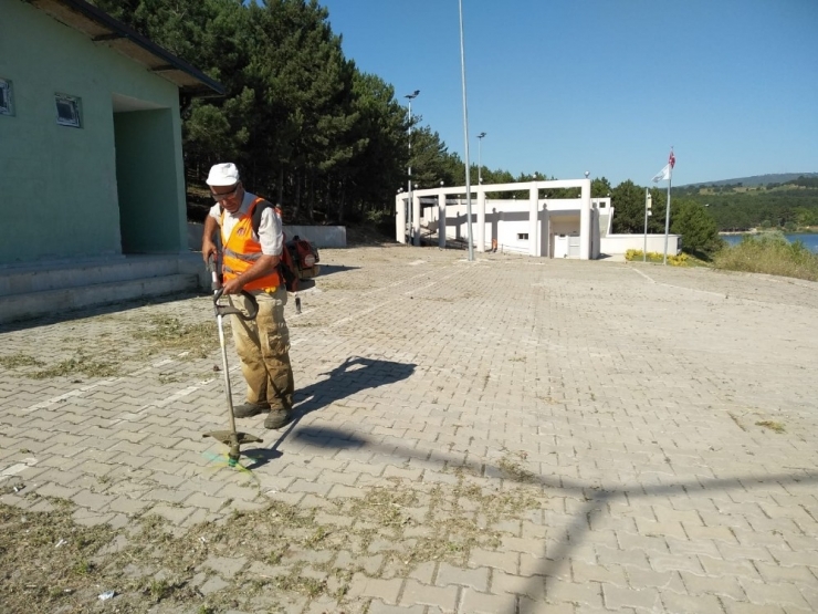 Bilecik Belediyesi’nden Ot Temizliği