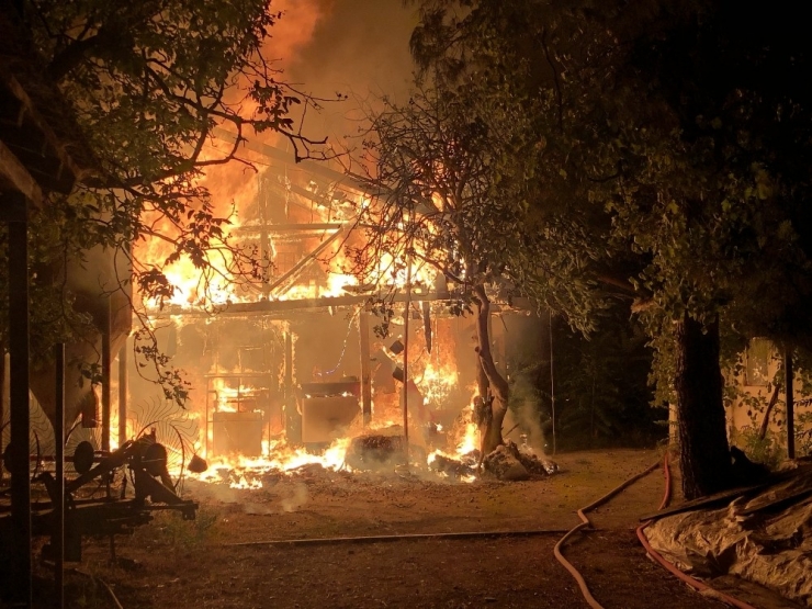 Yangında Can Pazarı...bursa’da Can Kurtarmak İçin Zamanla Yarış