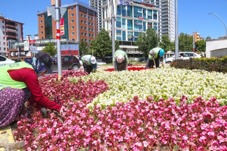 Elazığ’da 400 Bin Çiçek Toprakla Buluştu