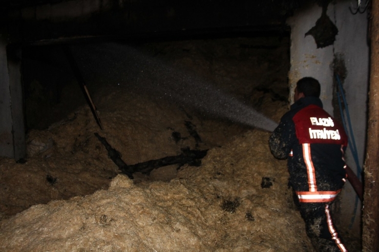 Elazığ’da Ahır Yangını Korkuttu