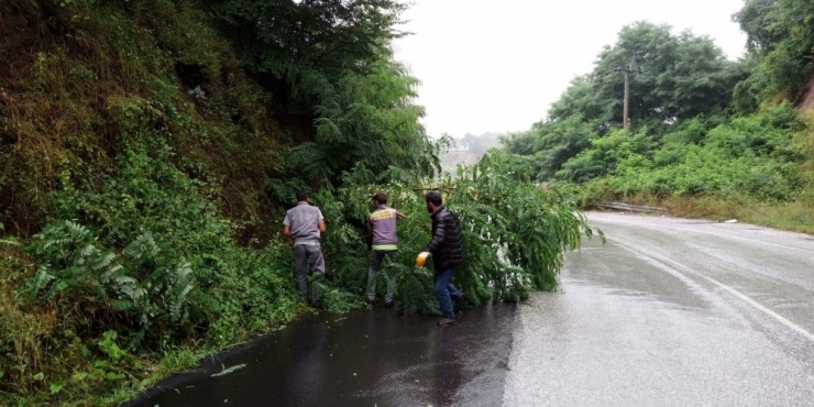 Hendek Belediyesinden Yağmur Suyuna Anında Müdahale