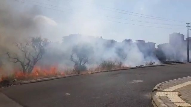 Kahramanmaraş’ta Zeytinlikte Yangın