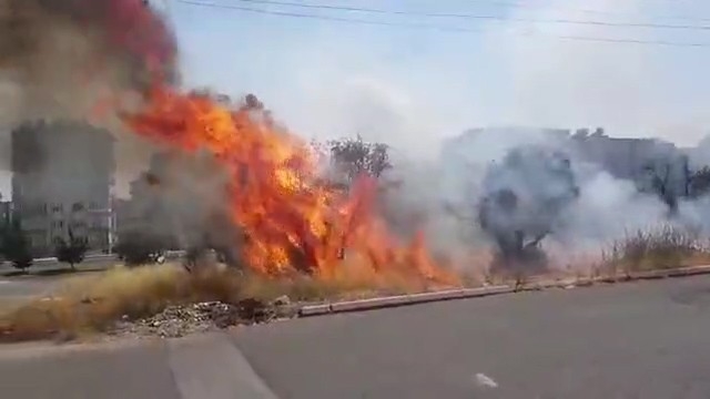 Kahramanmaraş’ta Zeytinlikte Yangın