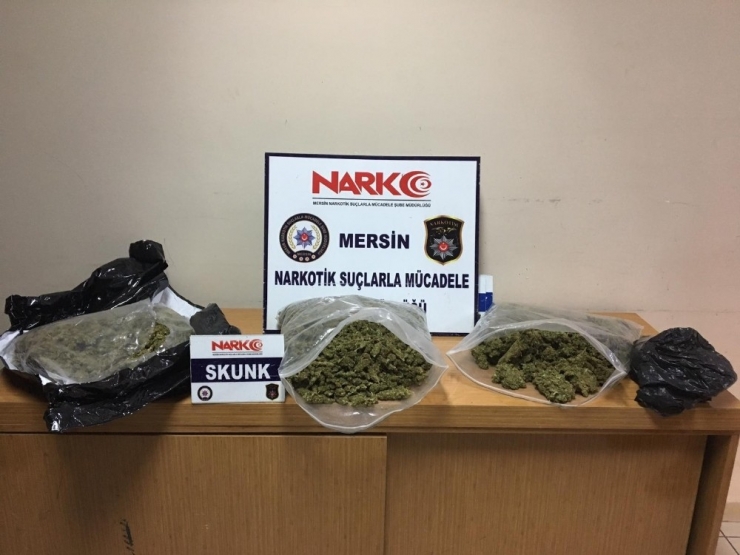 Mersin’de ’Torbacılara’ Şafak Operasyonu
