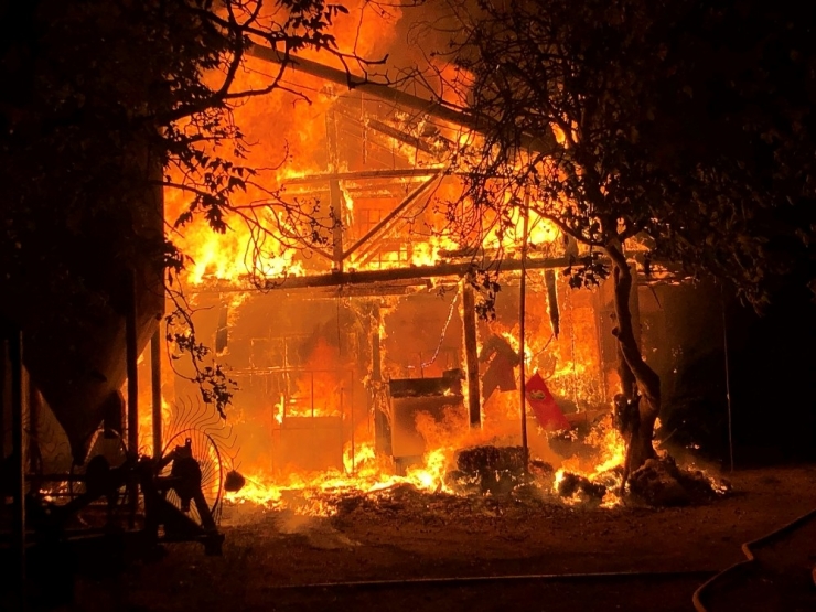 Samanlıkta Büyük Yangın: 5 Büyükbaş Hayvan Telef Oldu