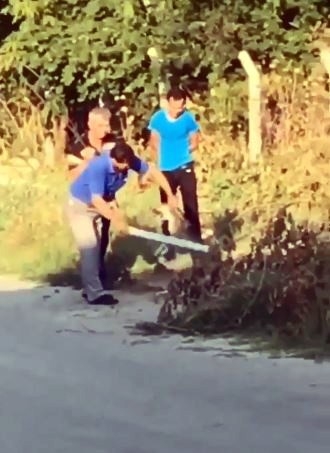 Köpeğe Dayağa 3 Bin 897 Tl Ceza