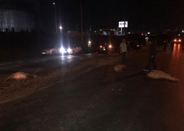 Tekirdağ’da Otomobil Koyun Sürüsüne Daldı