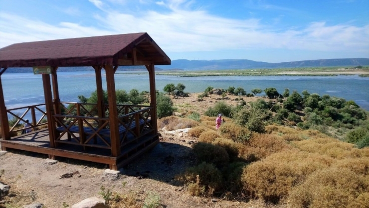 Bafa Gölü’nde Temizlik Çalışması Yapıldı