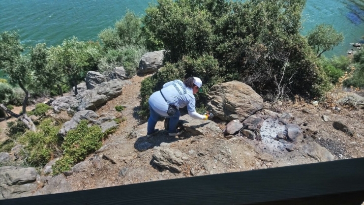 Bafa Gölü’nde Temizlik Çalışması Yapıldı