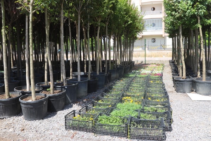 Bağlar Belediyesi’nden Organik Tarım Hamlesi