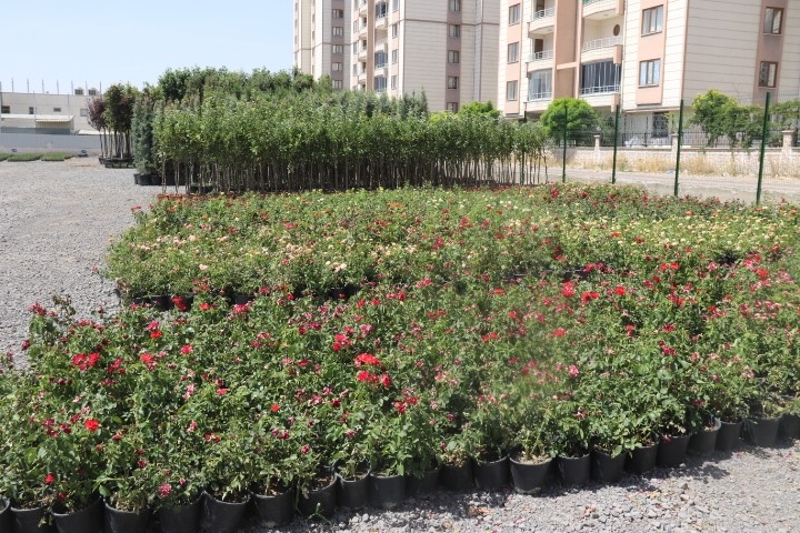 Bağlar Belediyesi’nden Organik Tarım Hamlesi