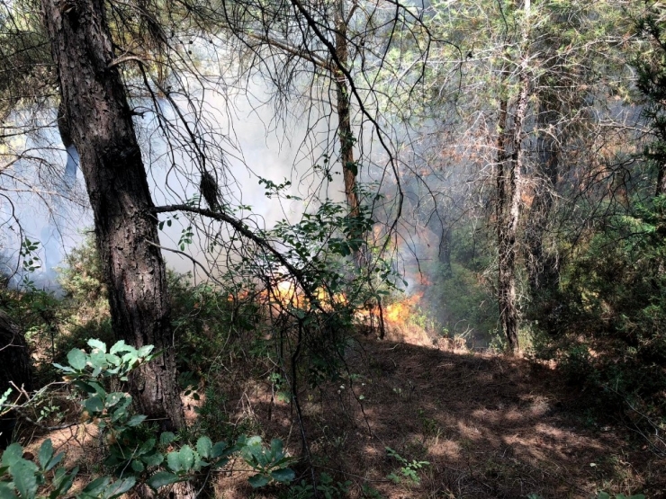 Hatay’da Orman Yangını