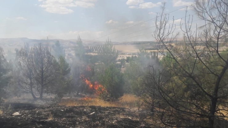 Nizip’te Orman Yangını