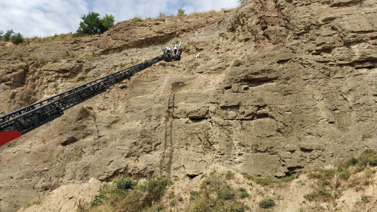 Uçurumda Köpek Kurtarma Operasyonu