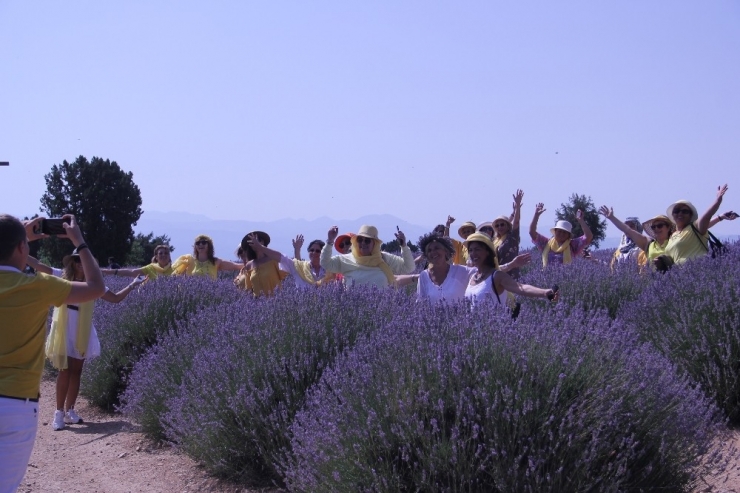 Isparta’da, Ogm Tarafından Son 2 Yılda 305 Bin Lavanta Fidanı Desteği Sağlandı