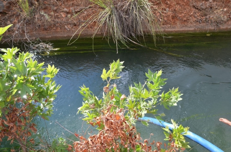 Sulama Kanalına Düşen 5 Yaşındaki Çocuk Hayatını Kaybetti