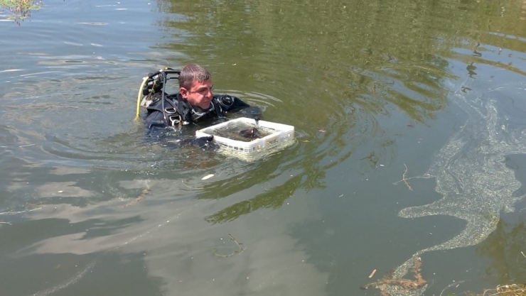 Balık Adamlar Su Altını, Gönüllüler Kıyıları Temizledi
