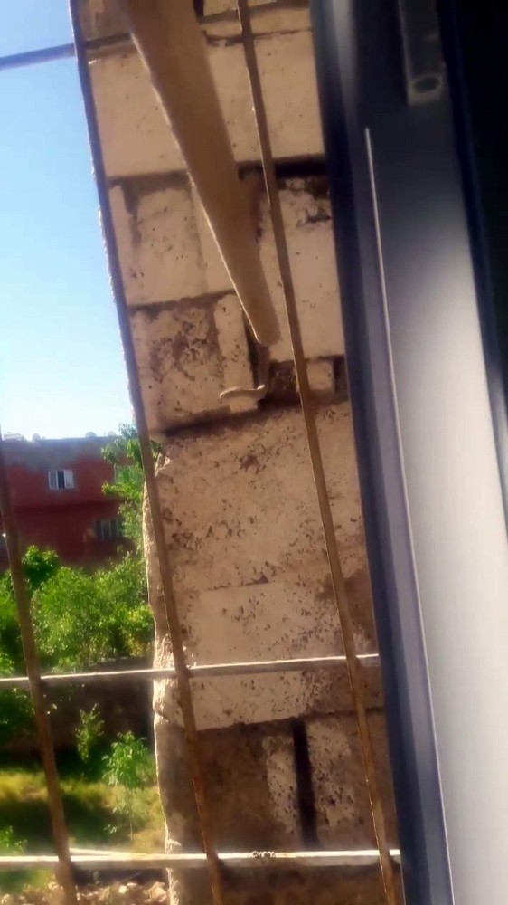 Siirt’te Duvara Gizlenmiş 2 Metrelik Yılan Korkuttu