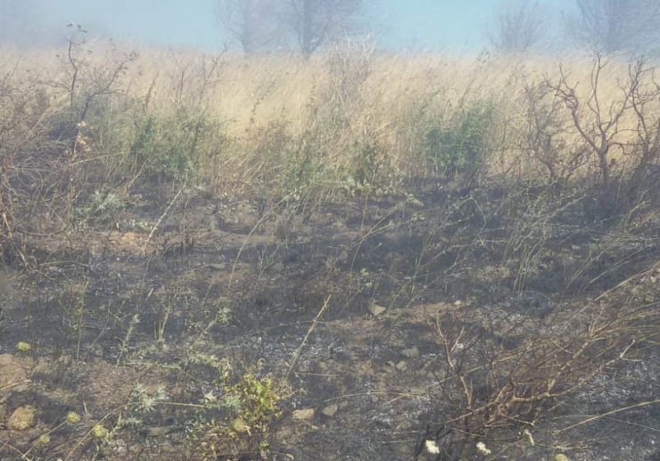 Erdek’te Çöplük Yangını Korkuttu