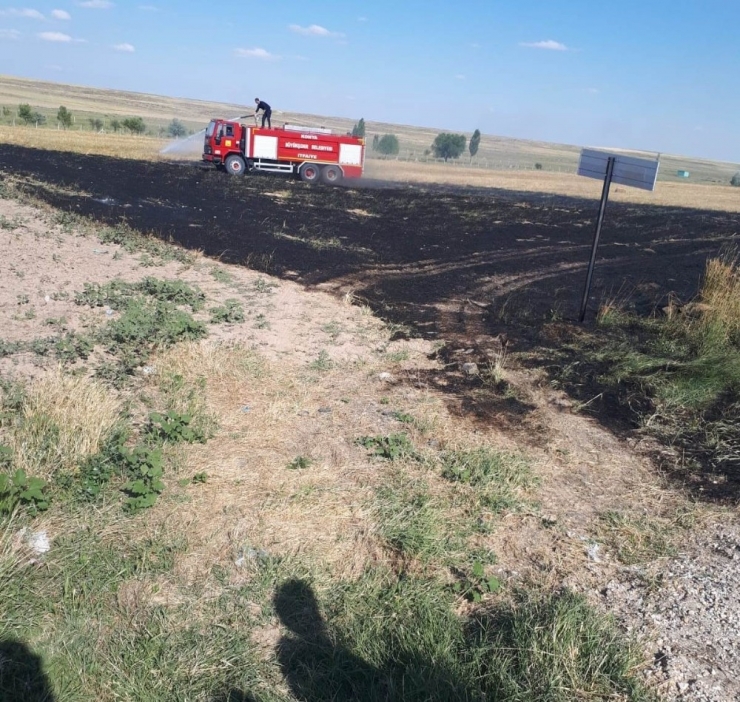 Çocuklar Anız Yaktı