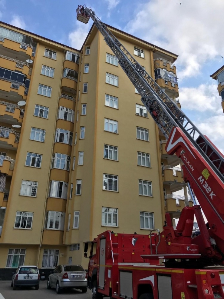 Ayağına İp Dolanınca Çatıda Mahsur Kalan Kuş Kurtarıldı