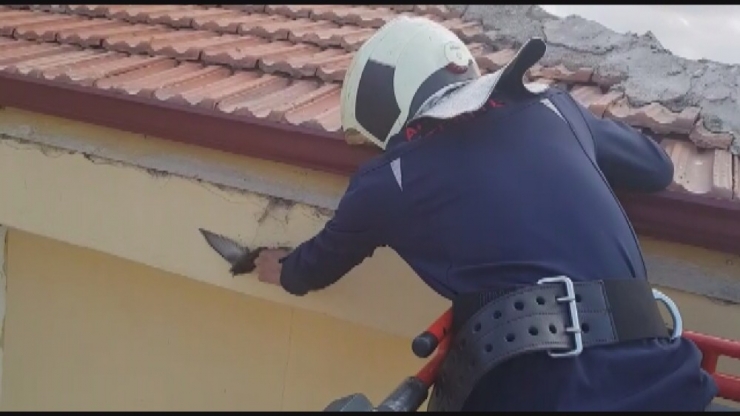 Ayağına İp Dolanınca Çatıda Mahsur Kalan Kuş Kurtarıldı