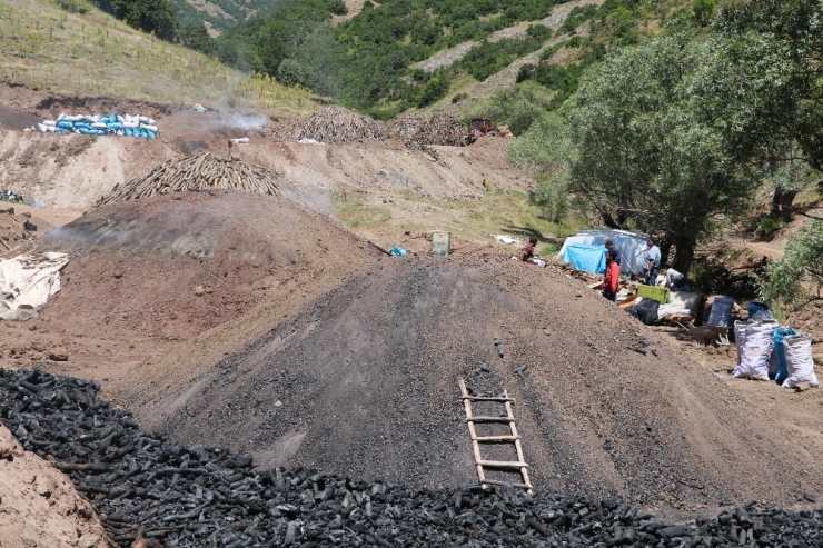 Küçük Bir Dikkatsizlik Tüm Emeklerini Yok Edebilir