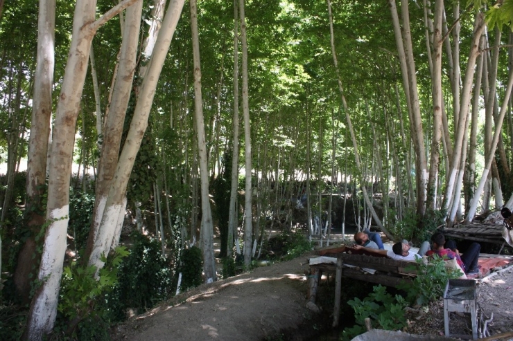 Mardin’in Doğa Harikası ’Yardere Şelalesi’