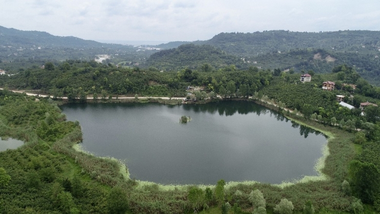 Başkanın Deniz Bisikleti Keyfi