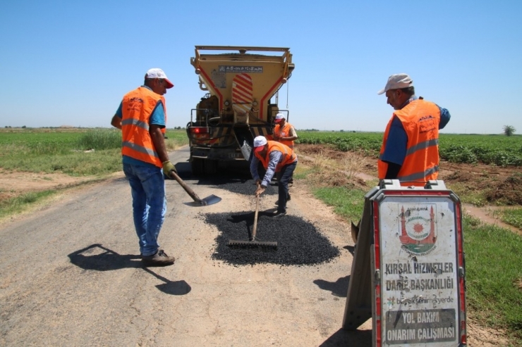 Şanlıurfa Kırsalında Yol Onarım Çalışmaları Sürüyor