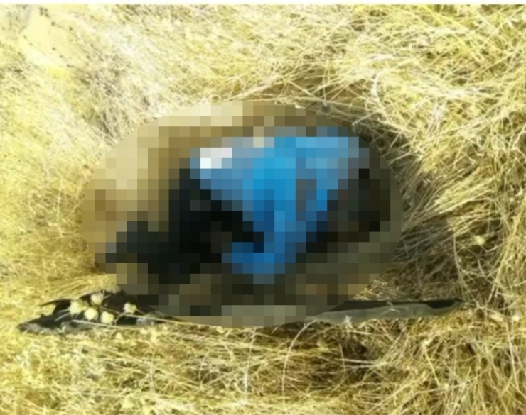 Şanlıurfa’da Trafik Kazası: 1 Ölü, 1 Yaralı