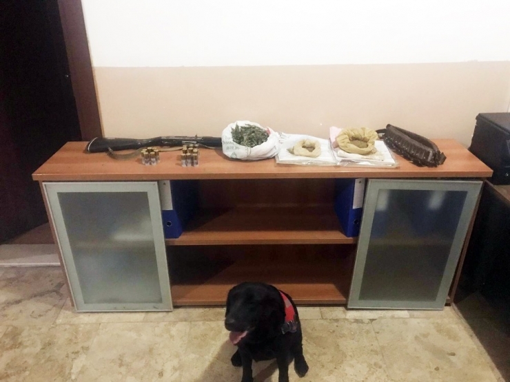 Puslu Buldu, Jandarma Yakaladı